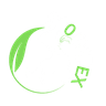 360 Impex Logo