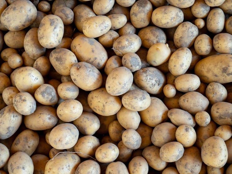 Potato