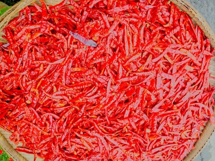 Dry Chilies