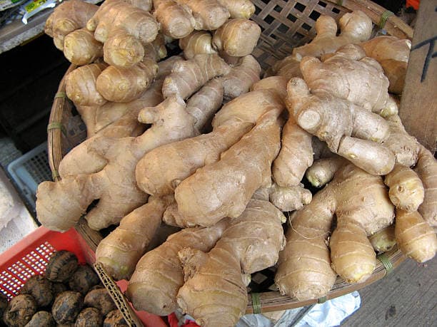 Ginger
